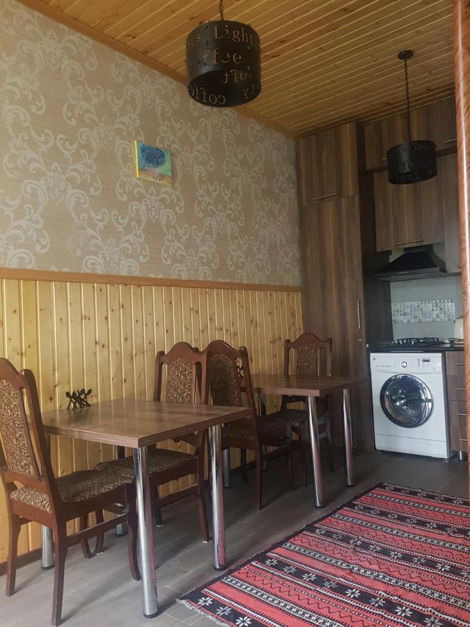 Cozy House Kazbegi Ξενοδοχείο Εξωτερικό φωτογραφία